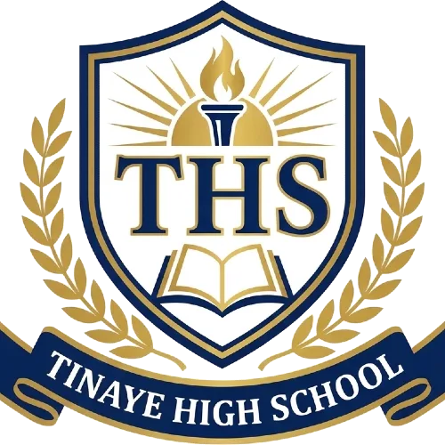 Tinaye High School